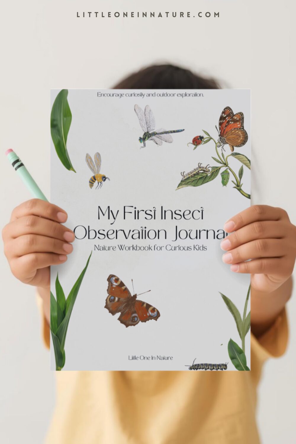 How to Explore Insects with Kids?